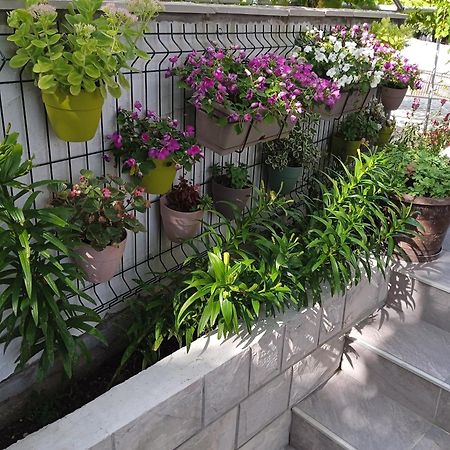Apartment Iva เทรบินเย ภายนอก รูปภาพ