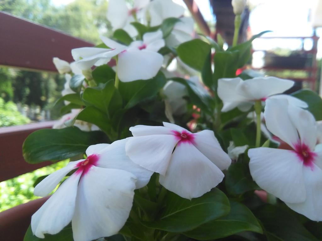 Apartment Iva เทรบินเย ภายนอก รูปภาพ